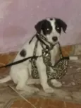 Lucky