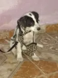Lucky