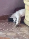 Lucky