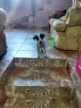 Lucky