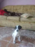 Lucky