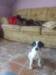 Lucky