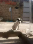 Lucky