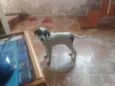 Lucky