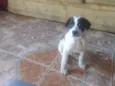 Lucky
