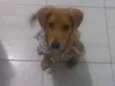 Bruce 