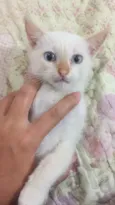 Jackie