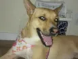 Nina