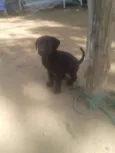 Bebês ainda sem nome