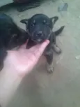 Bebês ainda sem nome