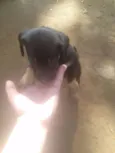 Bebês ainda sem nome