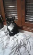 Menina