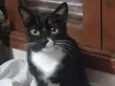 Menina