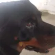 Kiara