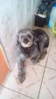 Bidú