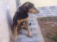 Kaleu