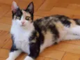 sophie