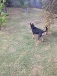 Kaleu
