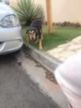 Kaleu