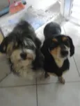 Carol e Gustavo 