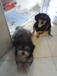 Carol e Gustavo 