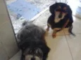 Carol e Gustavo 