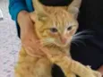 SIMBA