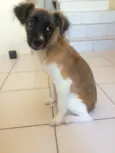Mel