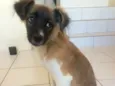 Mel