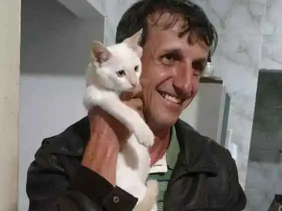 Gato ra a Vira-lata idade 2 a 6 meses nome Zé