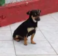 BIJU