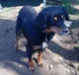 RITINHA