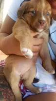 Rimena