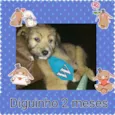 diguinho