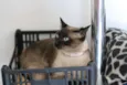 Mel