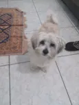 Dex