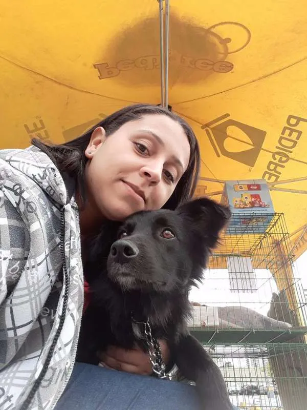 Cachorro ra a SRD idade 2 anos nome Choquito/ Neguinho