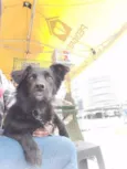 Choquito/ Neguinho