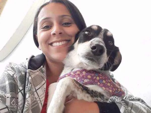 Cachorro ra a SRD idade 5 anos nome Mabel