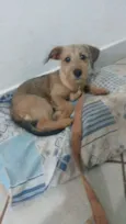 Nina