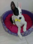 Marley