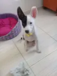 Marley