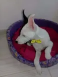 Marley