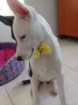 Marley