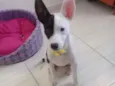 Marley