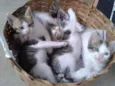 Nâo definido