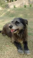 Luca