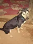 Ted