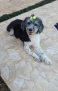 Bebê