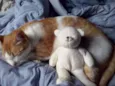 Nala e Nalo